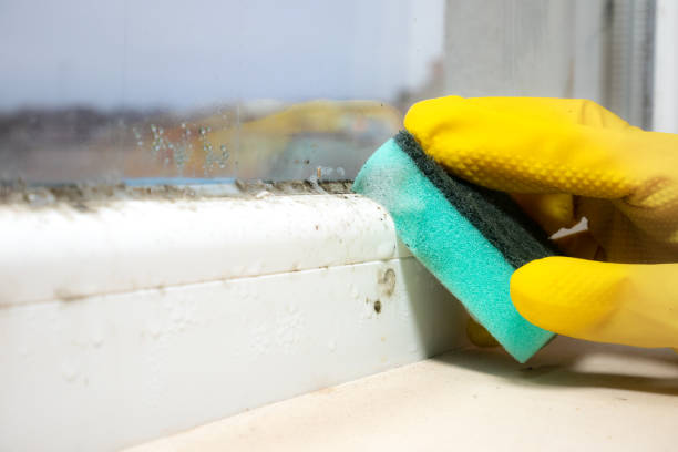 Certified Mold Removal in Vinings, GA