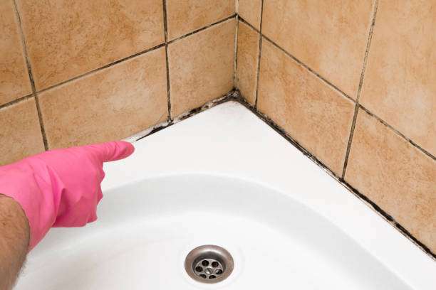 Best Professional Mold Removal  in Vinings, GA